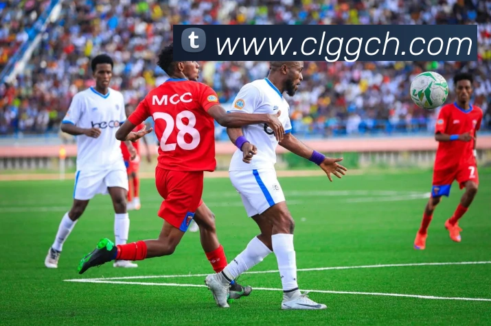 App Interface Preview