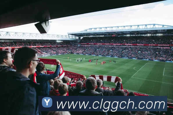 华体会APP 封面图