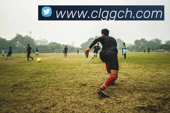 数据防护可视化